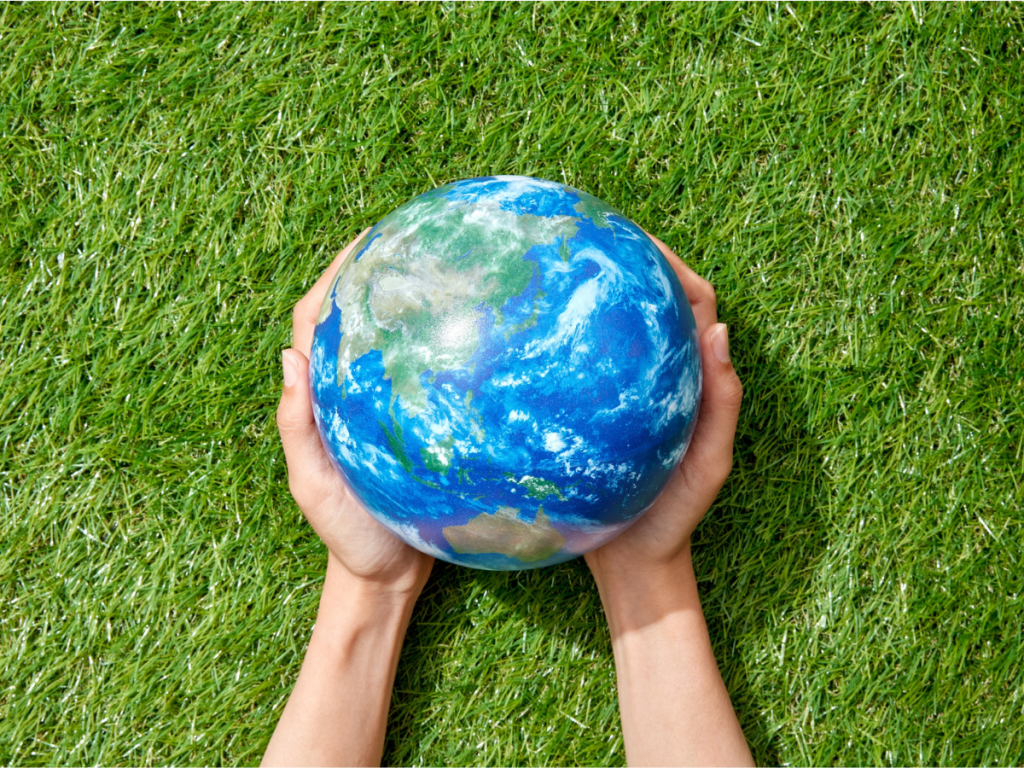 Sport Profileo global presence